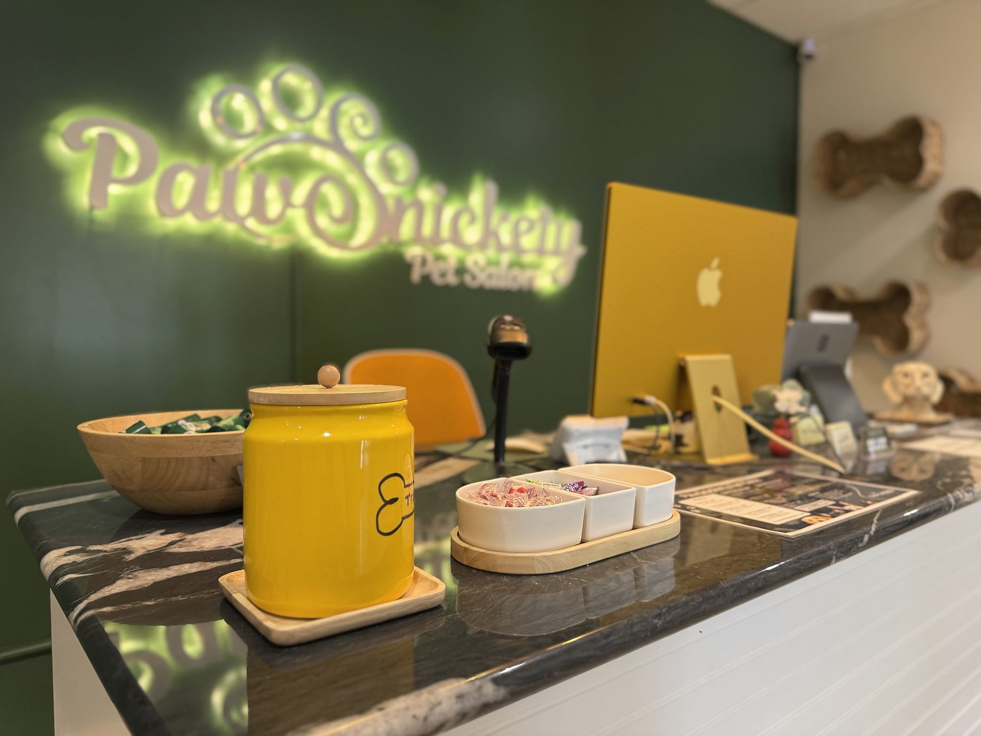 The front desk at PawSnickety East Lansing, with the glowing PawSnickety Pet Salon sign